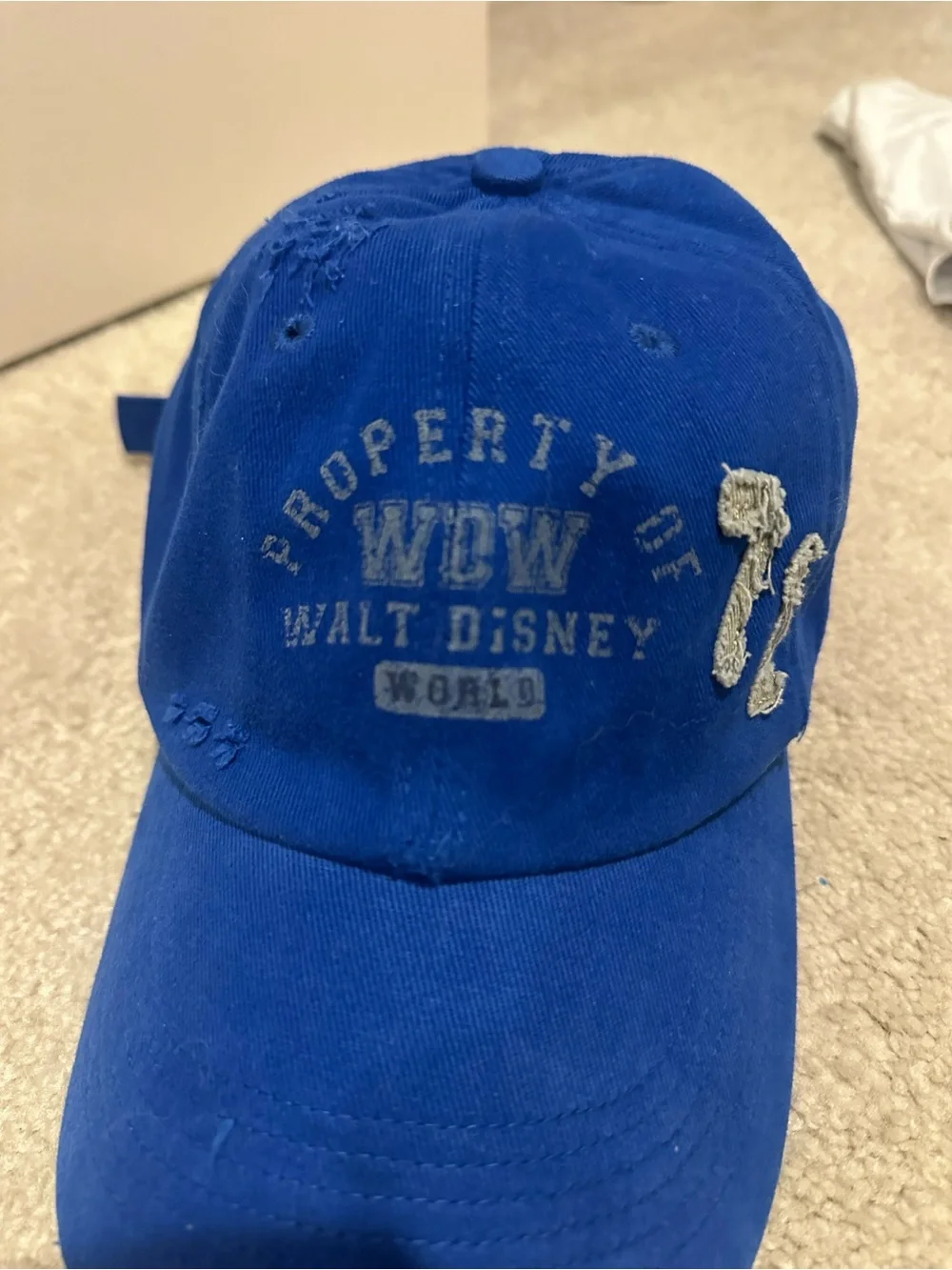 Vintage Disney Hat NWT
